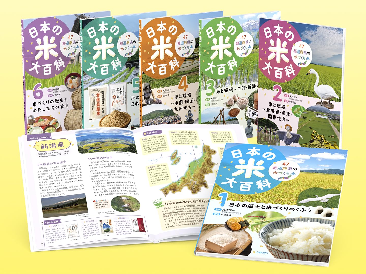 日本の米大百科【全6巻セット】: 47都道府県の米づくり | 大坪研一 |本